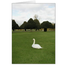 Swan at Hampton Court Palace, UK Greeting Card