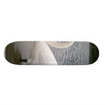 Swan Beautiful Wallpaper Skate Board Deck