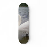 Swan Beautiful Wallpaper Skate Board Deck
