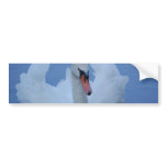Swan Bumper Stickers
