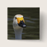 Swan buttons