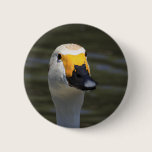 Swan buttons