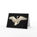 Swan cards