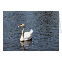 swan cards