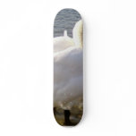 Swan Close skateboards