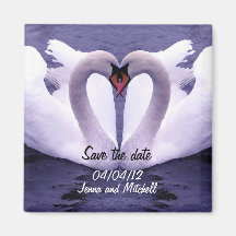 Swan couple save the date magnet