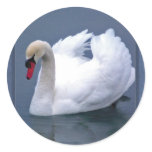 SWAN ELEGANCE ROUND STICKERS