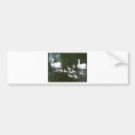 Swan family bumper stickers