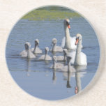 Swan Family Coaster