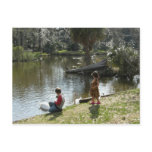 Swan feeding postcards