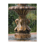 Swan Fountain Postcard