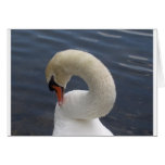 swan greeting card