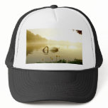 Swan hats