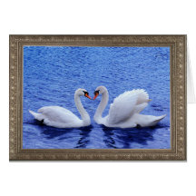 swan heart greeting cards