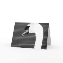 Swan in black and white cards