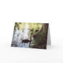 Swan in Shadow cards