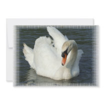Swan Invitation