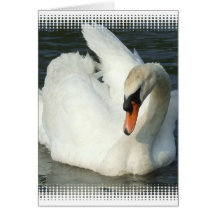 Swan Lake Greeting Card