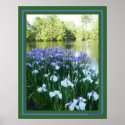Swan Lake Iris Garden posters