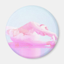 Swan Lake Refrigerator Magnets