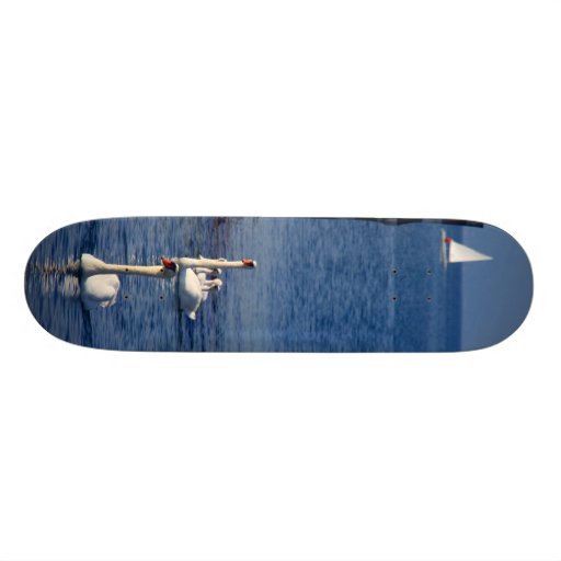 Swan Lake Skate Boards
