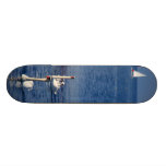 Swan Lake Skateboard