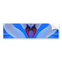 Swan Love, Romantic Heart Shaped Necks bumper stickers