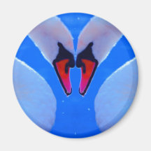 Swan Love, Romantic Heart Shaped Necks Refrigerator Magnets