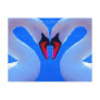 Swan Love, Romantic Heart Shaped Necks Postcards