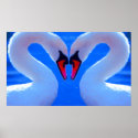 Swan Love, Romantic Heart Shaped Necks posters