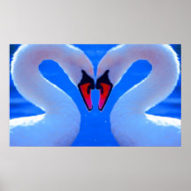 Swan Love, Romantic Heart Shaped Necks Print
