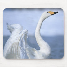 Swan Mousepad