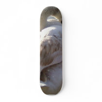 Swan On Lake Skate Deck