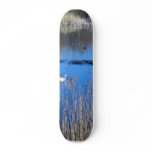 Swan On Tikvara Lake Skate Board Decks