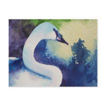 Swan Postcards