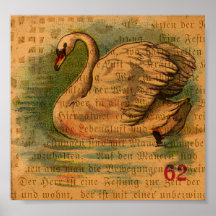 Swan Poster