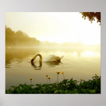 Swan Print