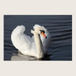 Swan Print