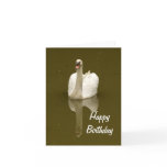 Swan Reflection Blank Birthday Card