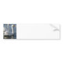 Swan Reflections Bumper Stickers