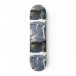 Swan Reflections Skateboard
