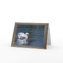 swan ruffled feathers 1  notecard