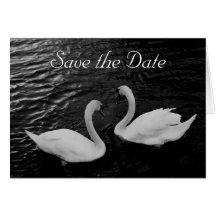 Swan Save the Date Card