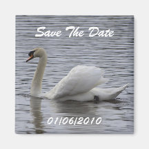Swan Save the Date Magnets