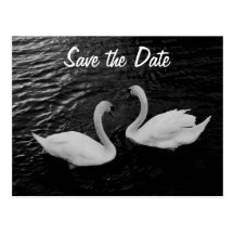 Swan Save the Date Postcard