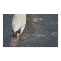 Swan Stickers