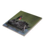 Swan Tile
