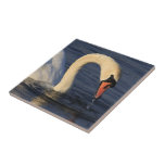 Swan Tile