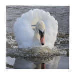 Swan Tile
