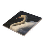 Swan Tile
